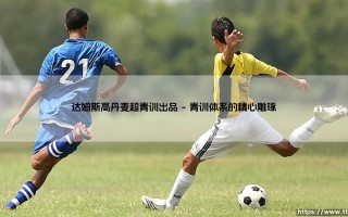 达姆斯高：丹麦超青训出品的璀璨明珠