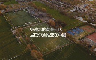 智利队上一次参加世界杯啥时候？被遗忘的黄金一代