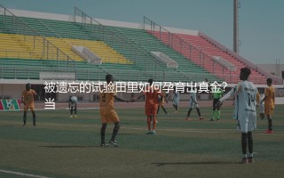 德布劳内为沃尔夫斯堡效力了几个赛季？被遗忘的试验田里如何孕育出真金？