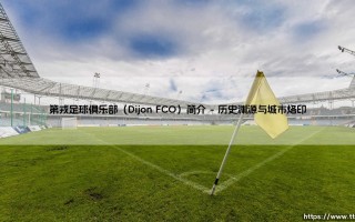 第戎足球俱乐部（Dijon FCO）简介「足球情报站」