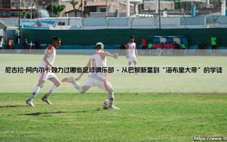 尼古拉·阿内尔卡效力过哪些足球俱乐部：一段横跨欧亚的足球流浪诗篇