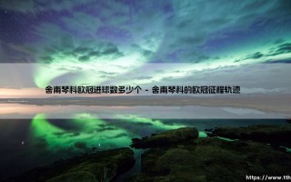 舍甫琴科欧冠进球数多少个？详解乌克兰核弹头的欧战传奇