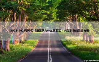2022-2023赛季多特蒙德队为什么是亚军？一场令人心碎的德甲冠军争夺战