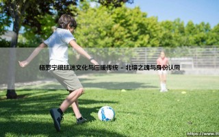 格罗宁根球迷文化与应援传统【足球之家】