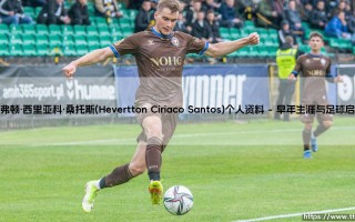 赫弗顿·西里亚科·桑托斯个人资料：从球场到退役生活的转型之路