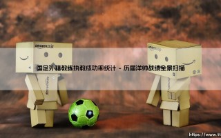国足外籍教练执教成功率统计：数据背后的执教魔咒与未来曙光