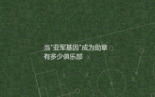 多特蒙德队几次德甲亚军？当"亚军基因"成为勋章