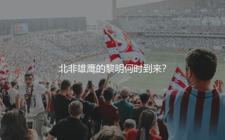 北非雄鹰的黎明何时到来？阿尔及利亚队几次非洲杯冠军？