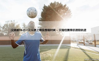 汉诺威96沉浮录：揭秘球队上一次从德乙降级的关键时刻
