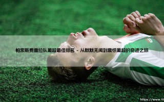 帕索斯费雷拉队葡超最佳排名：绿白军团的巅峰传奇