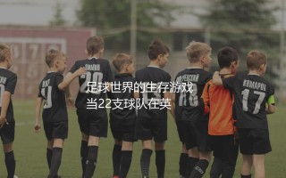英甲联赛几个升级名额：英格兰第三级联赛足球世界的生存游戏