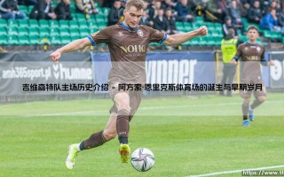 吉维森特队主场历史介绍【绿茵视界】