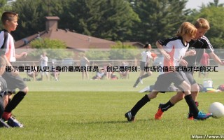 诺尔雪平队队史上身价最高的球员：一段交织梦想与现实的市场传奇
