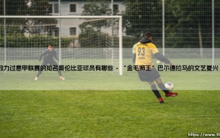 效力过意甲联赛的知名哥伦比亚球员有哪些全面解读