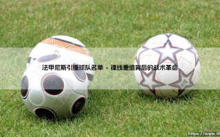 法甲尼斯引援球队名单：一支沉睡豪门的觉醒之路？