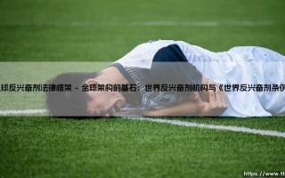足球反兴奋剂法律框架：守护绿茵场的纯净与荣耀