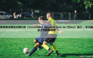 墨西哥美洲狮足球俱乐部（Universidad Nacional Club de Fútbol）简介「足球情报站」
