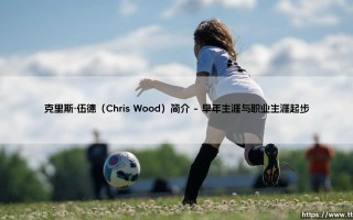 克里斯·伍德（Chris Wood）简介攻略
