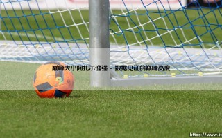 巅峰对决：大小阿扎尔谁更强？全面解析比利时兄弟的足球传奇