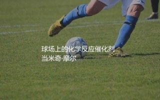 米奇·摩尔球探报告:球场上的化学反应催化剂