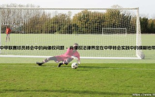 中甲联赛球员转会中的肖像权问题——剖析中甲转会市场的肖像权困境