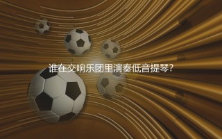 卡塞米罗在皇马效力几年？谁在交响乐团里演奏低音提琴？