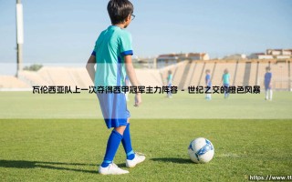 瓦伦西亚队辉煌记忆：揭秘上一次夺得西甲冠军主力阵容的黄金一代