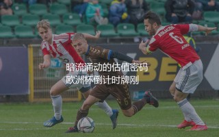 西班牙队2024年欧洲杯球员身价：暗流涌动的估值密码