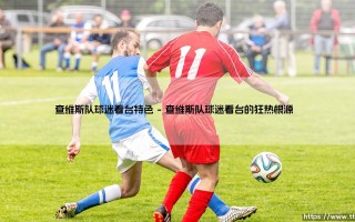 查维斯队球迷看台特色：一座城市的灵魂舞台