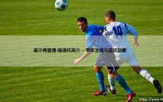 威尔弗里德·格诺托简介：从新星到意大利足坛的未来希望