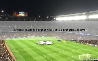 哈兰德未来可能的天价转会去向：下一个时代旗帜的落脚点