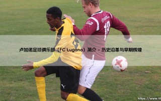 卢加诺足球俱乐部（FC Lugano）简介——东方体育