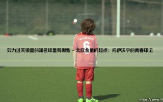 效力过天狼星的知名球星有哪些？盘点那些「天狼星」闪耀过的足坛传奇