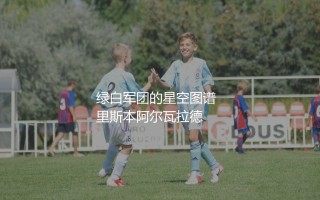 葡萄牙体育队史知名球星有哪些？绿白军团的星空图谱