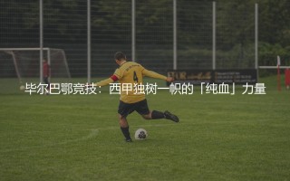 毕尔巴鄂竞技在西甲啥水平？西甲独树一帜的「纯血」力量