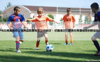 伊布拉希莫维奇在瑞典超联赛有多少个进球|磁儿足球说