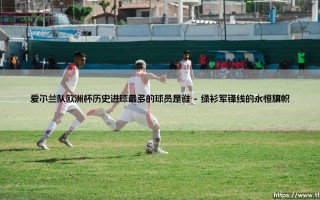 爱尔兰队欧洲杯历史进球最多的球员是谁_足球早晚报