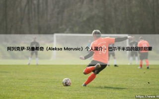 阿列克萨·马鲁希奇：从平凡后卫到意甲磐石的阿列克萨·马鲁希奇传奇之路