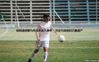柏林迪纳摩为何从未进入德甲？