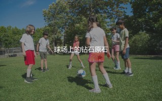 本菲卡身价最高的球员:球场上的钻石原石