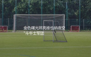 西班牙第一次欧洲杯冠军阵容：金色曙光照亮维也纳夜空  