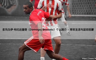 多马戈伊·布拉达里奇（Domagoj Bradaric）个人简介-绿茵上的诗人
