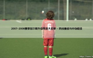 2007-2008赛季加尔斯升级阵容大名单解析
