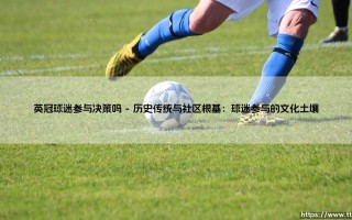英冠球迷参与决策吗？深度解析英格兰足球联赛的球迷力量