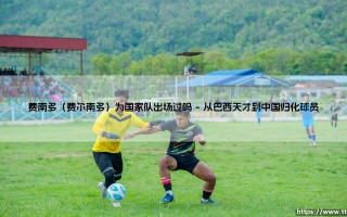 费南多（费尔南多）为国家队出场过吗-足坛风向标