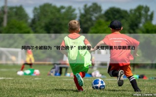 转会浪子：阿内尔卡为何成为足坛游牧者，解析“转会浪子”的传奇生涯