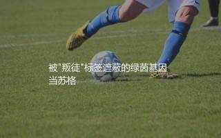 麦克托米奈出自哪家青训营？被"叛徒"标签遮蔽的绿茵基因