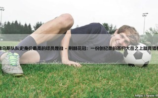 队史身价最高是谁？揭开雷乌斯队标王之谜