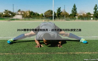 2024赛季中甲最佳教练员：绿茵场上的智慧与变革之光
