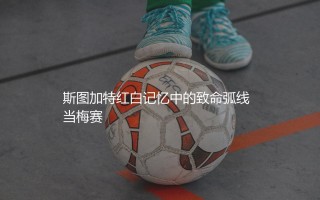 斯图加特历史最佳射手：斯图加特红白记忆中的致命弧线